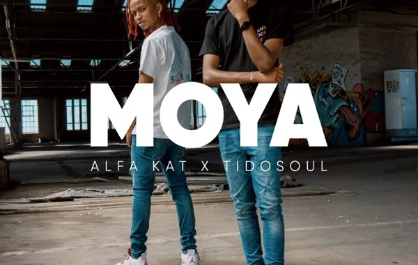 Alfa Kat & TidoSoul – Asambeni Ft. Costa Titch, NELCNO & Clumsy