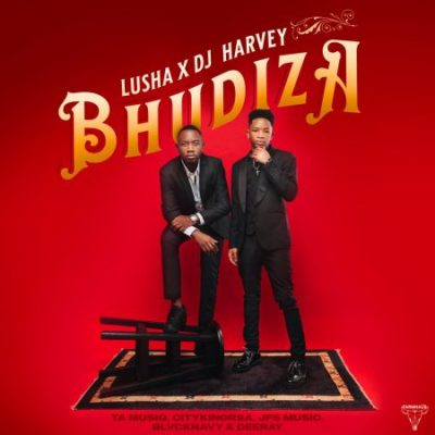 DJ Harvey – Bhudiza Ft Lusha, Blvcknavy, Citykingrsa, Deeray & JFS Music