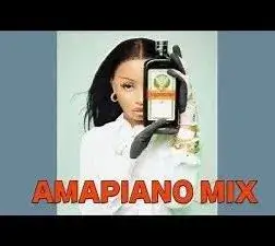 Uncles Waffles – Amapiano Mix Hits (August) Ft. Mellow & Sleazy