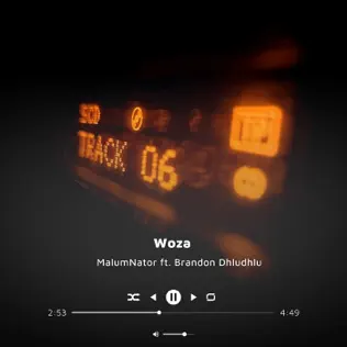 MalumNator – Woza ft Brandon Dhludhlu